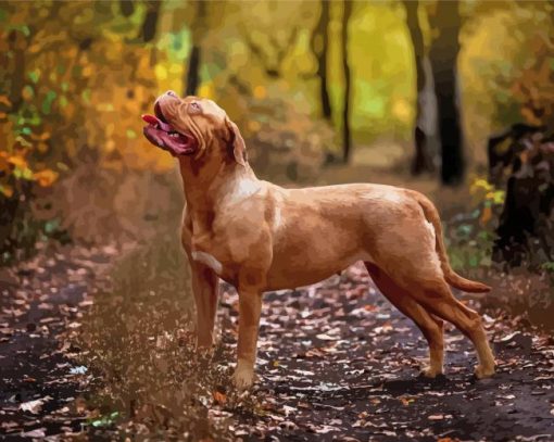 French Mastiff Diamond Paintings