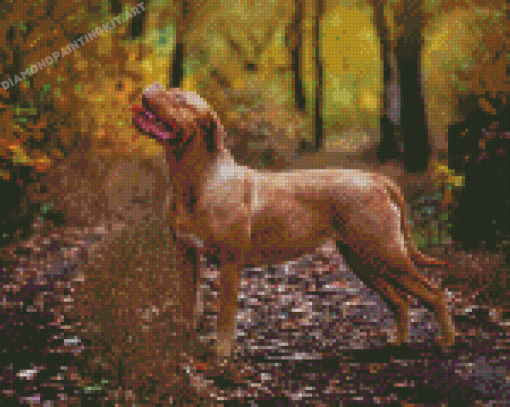 French Mastiff Diamond Paintings