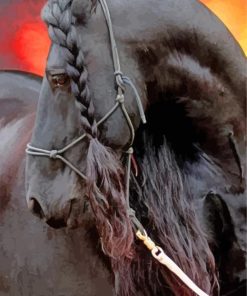 Friesian Horse Diamond Paintings