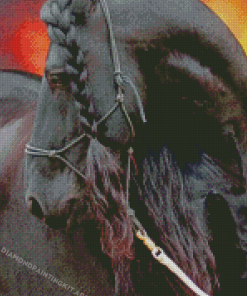 Friesian Horse Diamond Paintings