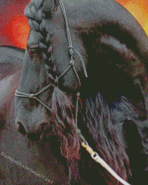 Friesian Horse Diamond Paintings