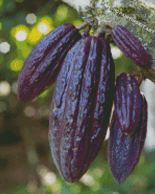 Fruit Cacao Tree Diamond Paintings