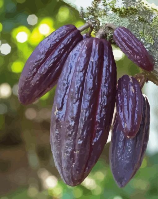 Fruit Cacao Tree Diamond Paintings