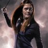 Ginny Weasley Harry Potter Serie Diamond Paintings