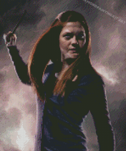 Ginny Weasley Harry Potter Serie Diamond Paintings