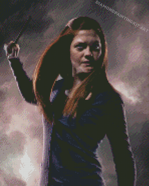 Ginny Weasley Harry Potter Serie Diamond Paintings