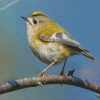 Goldcrest Bird Diamond Paintings