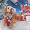 Golden Retriever Merry Christmas Diamond Paintings