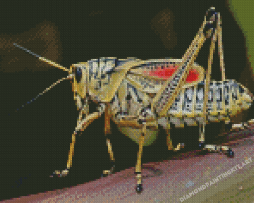 Grasshopper Diamond Paintings