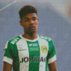 Hammarby Fotboll Team Player Diamond Paintings