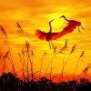 Herons Flying At Sunset Diamond Paintings