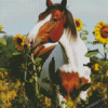 Horse With Sunflowers Diamond Paintings