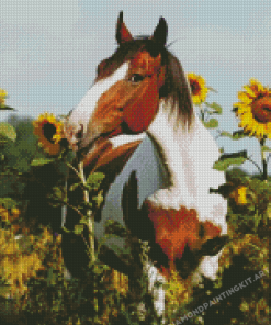 Horse With Sunflowers Diamond Paintings