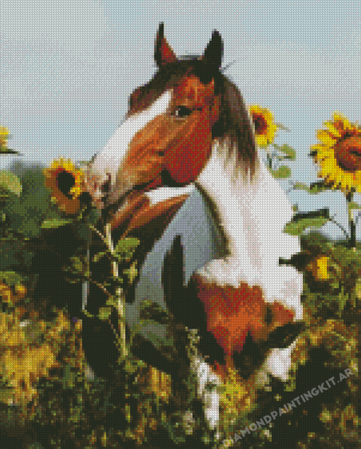 Horse With Sunflowers Diamond Paintings