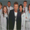 House MD Characters Diamond Paintings