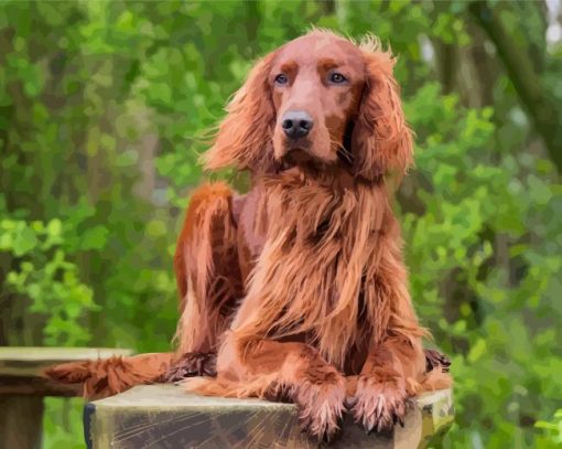 Irish Setter Diamond Paintings