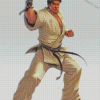 Karate Fighter Diamond Paintings