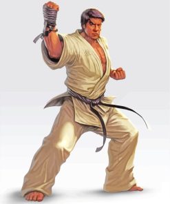 Karate Fighter Diamond Paintings