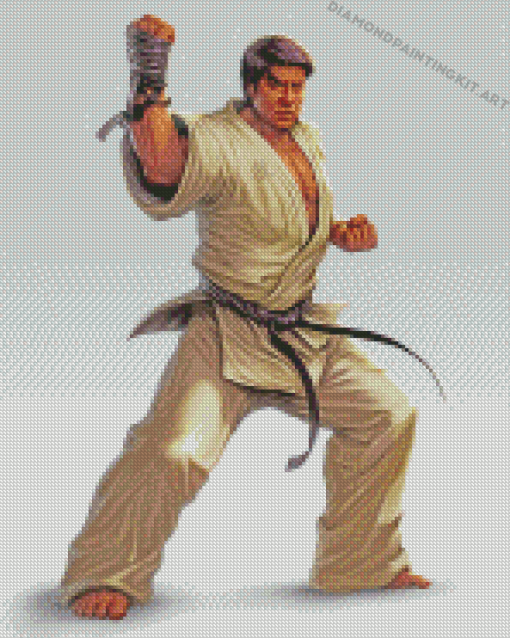 Karate Fighter Diamond Paintings