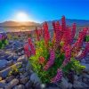 Lake Tekapo At Sunset Diamond Paintings