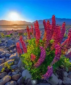 Lake Tekapo At Sunset Diamond Paintings