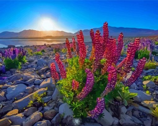 Lake Tekapo At Sunset Diamond Paintings