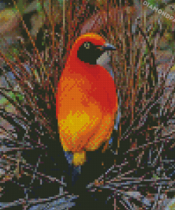 Masked Bowerbird Diamond Paintings