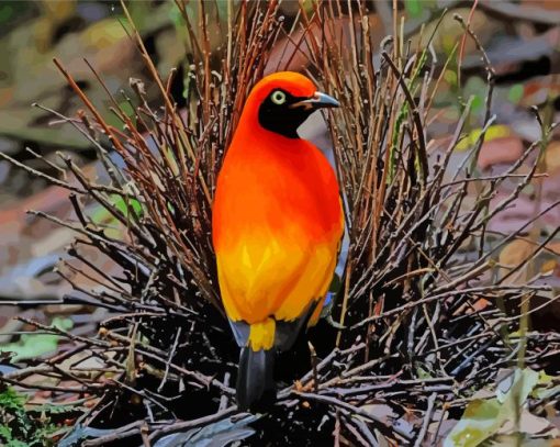 Masked Bowerbird Diamond Paintings