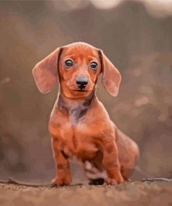 Mini Dachshund Diamond Paintings