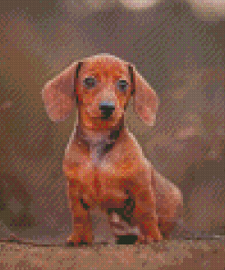 Mini Dachshund Diamond Paintings