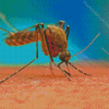 Mosquito Diamond Paintings