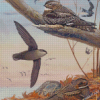 Nighthawk Bird Family Diamond Paintings