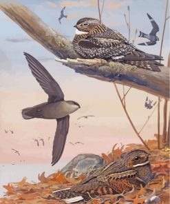 Nighthawk Bird Family Diamond Paintings