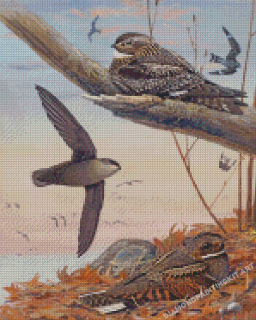 Nighthawk Bird Family Diamond Paintings