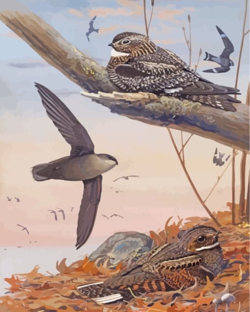 Nighthawk Bird Family Diamond Paintings