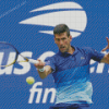 Novak Djokovic Diamond Paintings