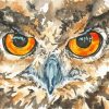 Owl Eyes Art Diamond Paintings