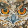 Owl Eyes Art Diamond Paintings