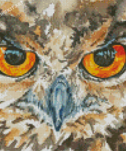 Owl Eyes Art Diamond Paintings