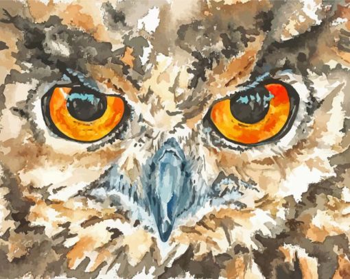 Owl Eyes Art Diamond Paintings