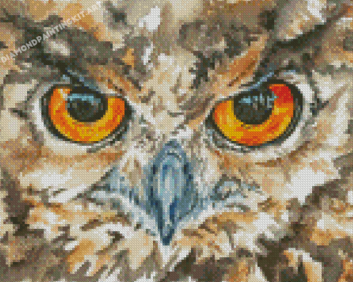 Owl Eyes Art Diamond Paintings