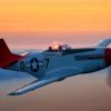 P51 Mustang Diamond Paintings