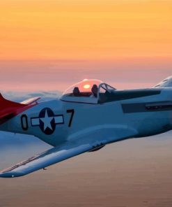 P51 Mustang Diamond Paintings