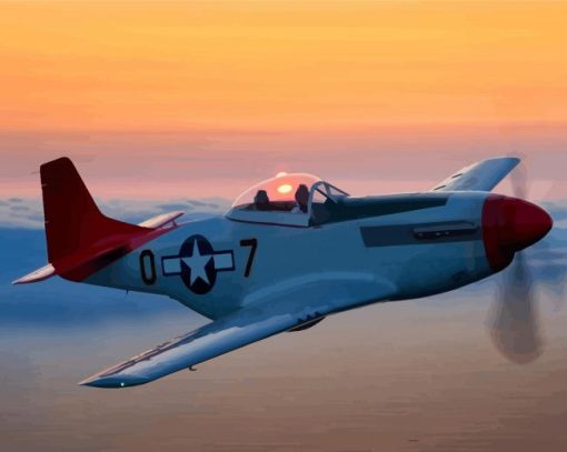 P51 Mustang Diamond Paintings