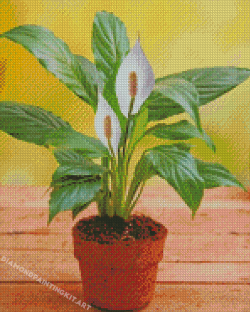 Peace Lily Plant Diamond Paintings