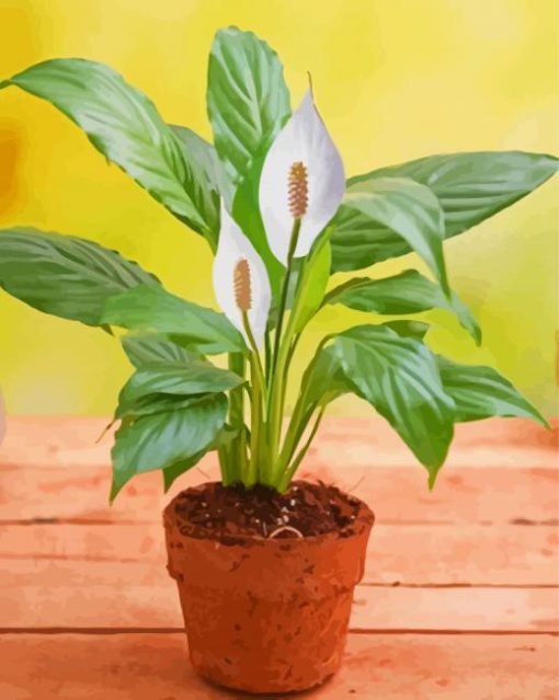 Peace Lily Plant Diamond Paintings