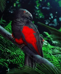 Pesquets Parrot Art Diamond Paintings