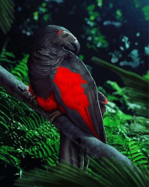 Pesquets Parrot Art Diamond Paintings