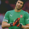 Petr Cech Former Football Player Diamond Paintings