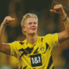 Player Erling Haaland Diamond Paintings